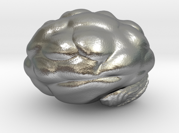 Cute Brain 3d printed
