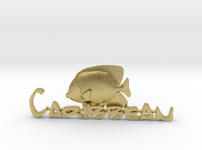 Engelfisch-Caribbean 3d printed