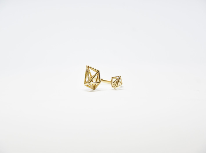 Double Tangle Ring 3d printed 