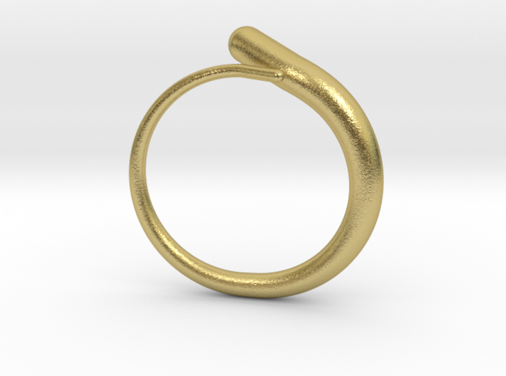 Worm Ring 3d printed