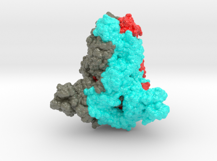 COVID_19_surface_glycoprotein 3d printed