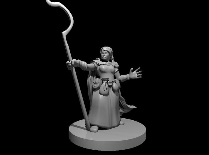 Dwarf Female Druid 2 3d printed