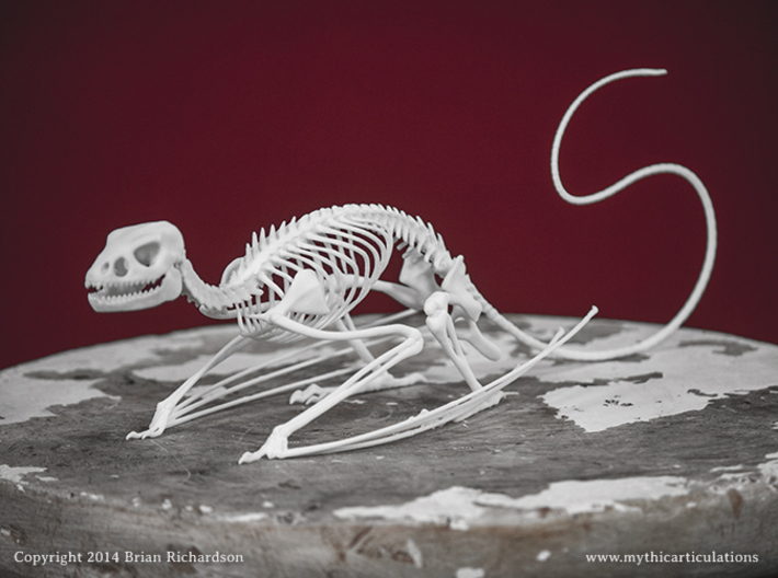 Wyvern Skeleton 3d printed
