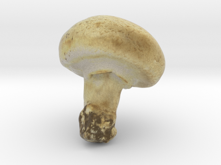 The White Mushroom 3d printed