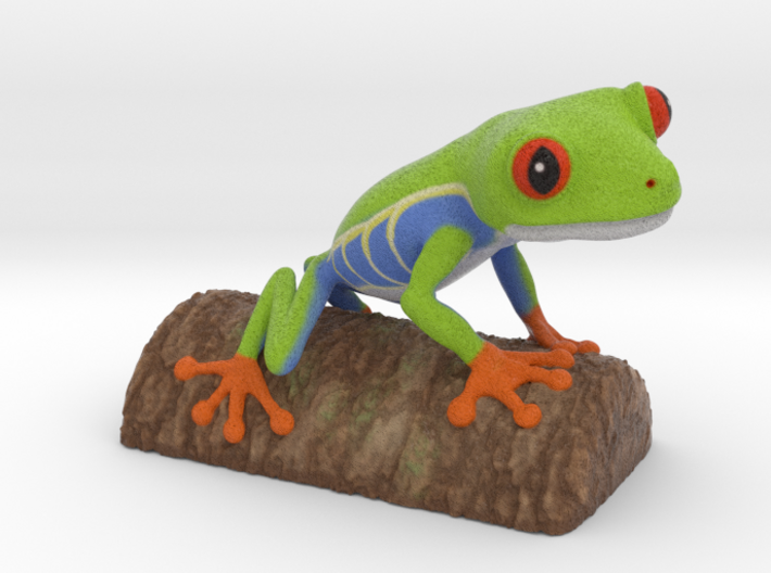Red-eyed Tree Frog 3d printed