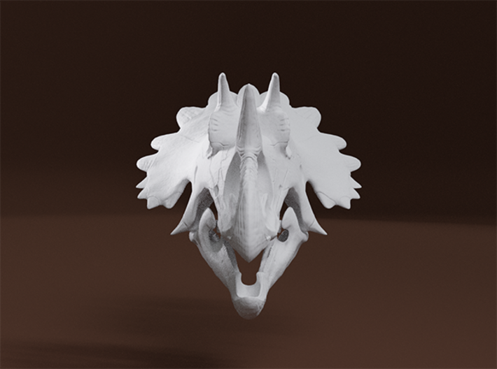 Regaliceratops Skull 3d printed 