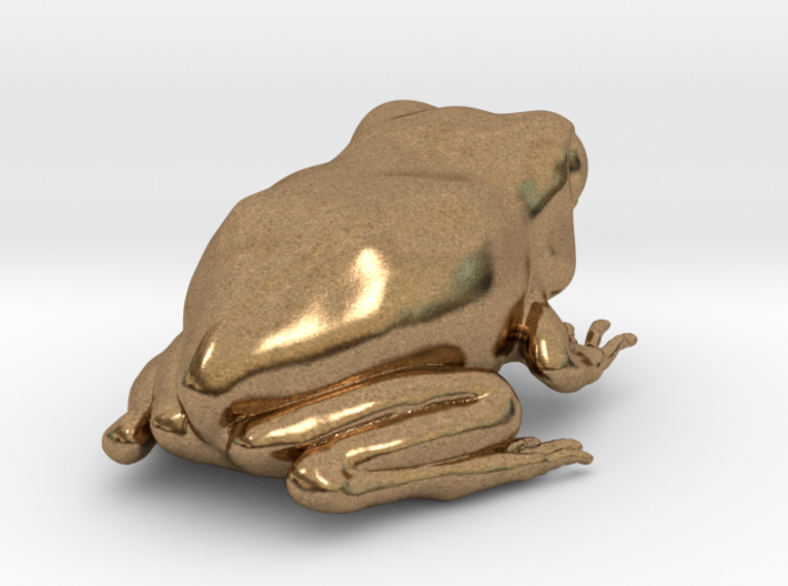 Eastern Gray Tree Frog 3d printed