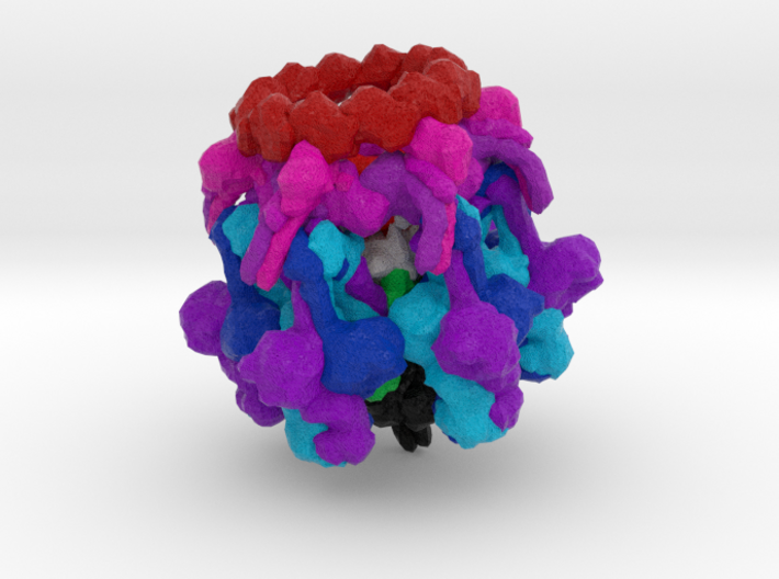 Staphylococcus aureus Phage 80a Baseplate 3d printed
