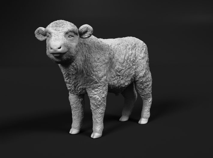 Highland Cattle 1:87 Standing Calf 3d printed 