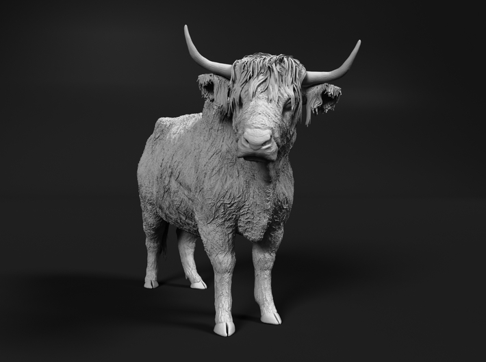 Highland Cattle 1:72 Standing Female 3d printed