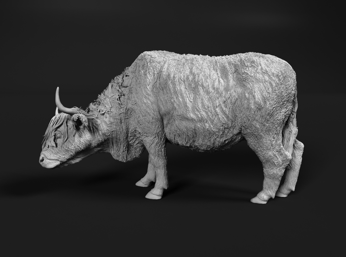 Highland Cattle 1:32 Female with the head down 3d printed 