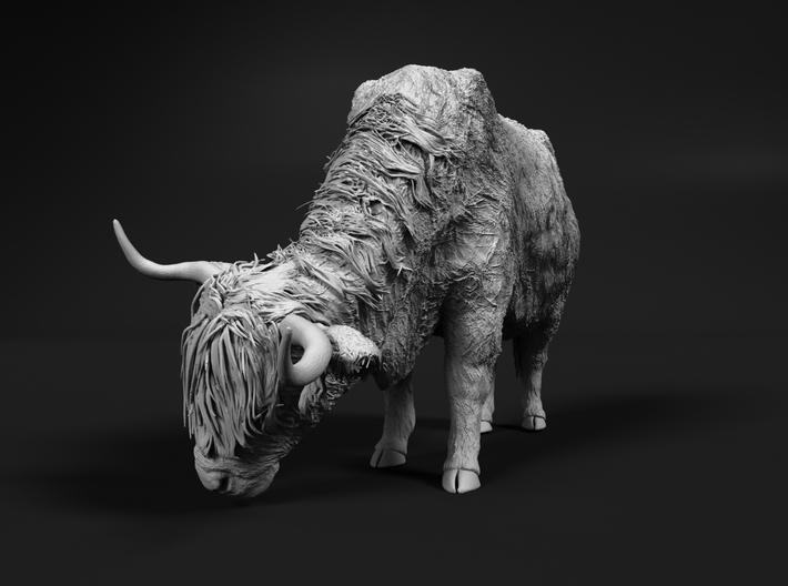 Highland Cattle 1:32 Grazing Female 2 3d printed