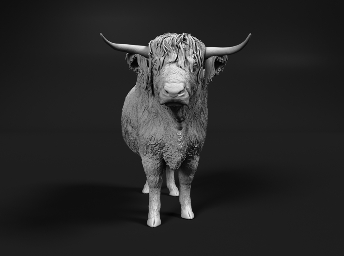 Highland Cattle 1:64 Standing Male 3d printed 