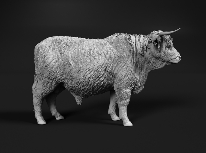 Highland Cattle 1:48 Standing Male 3d printed