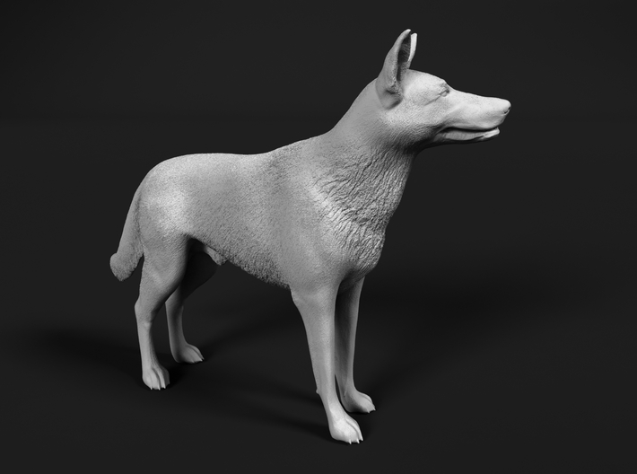 Saarloos Wolfdog 1:16 Standing Male 3d printed