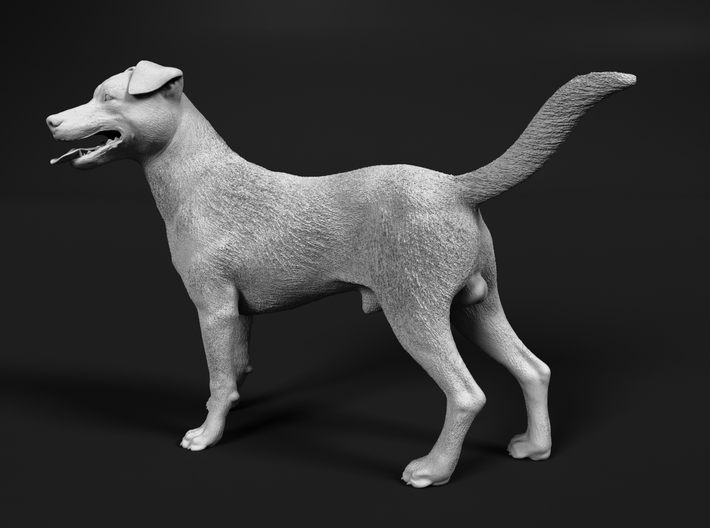 Jack Russell Terrier 1:1 Standing Male 3d printed 