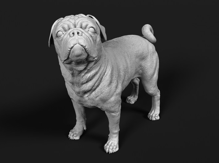 Pug 1:64 Standing Male 3d printed 