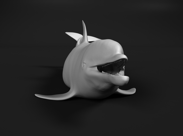 Bottlenose Dolphin 1:20 Out of the water 1 3d printed 