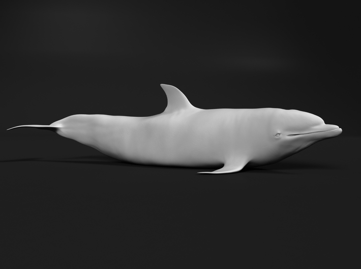 Bottlenose Dolphin 1:48 Out of the water 2 3d printed 