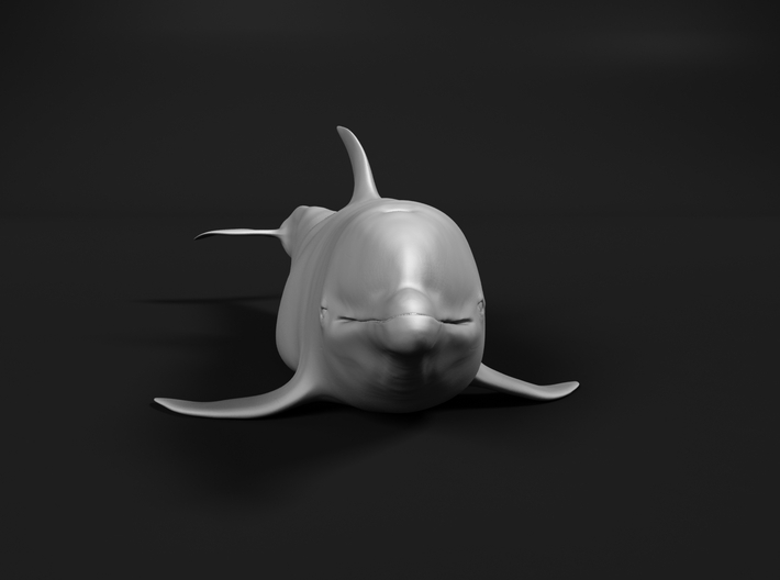 Bottlenose Dolphin 1:220 Out of the water 2 3d printed