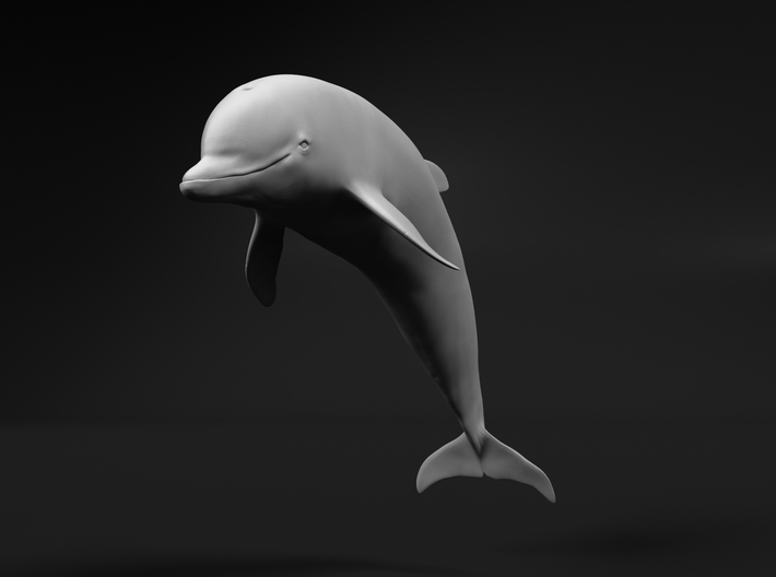 Bottlenose Dolphin 1:96 Breaching 3 3d printed 