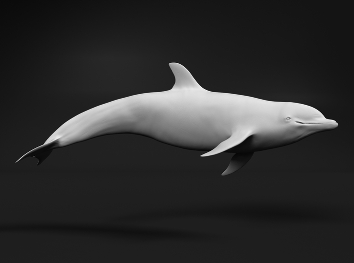 Bottlenose Dolphin 1:87 Swimming 1 3d printed 
