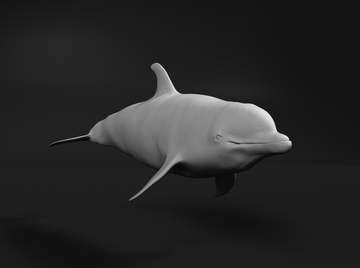 Bottlenose Dolphin 1:160 Swimming 2 3d printed 