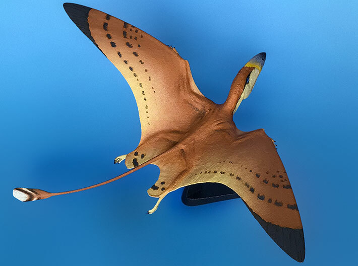 Dimorphodon - model pterosaur 3d printed