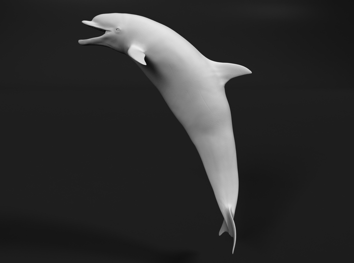 Bottlenose Dolphin 1:25 Mouth open 3d printed 