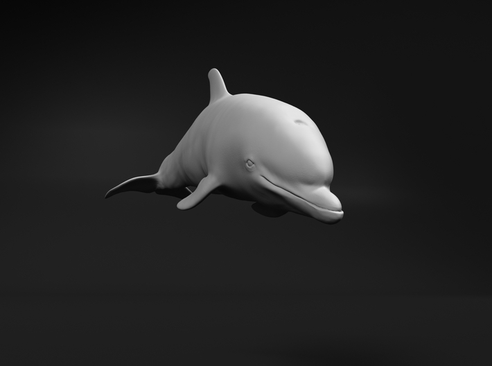 Bottlenose Dolphin 1:20 Calf 1 3d printed