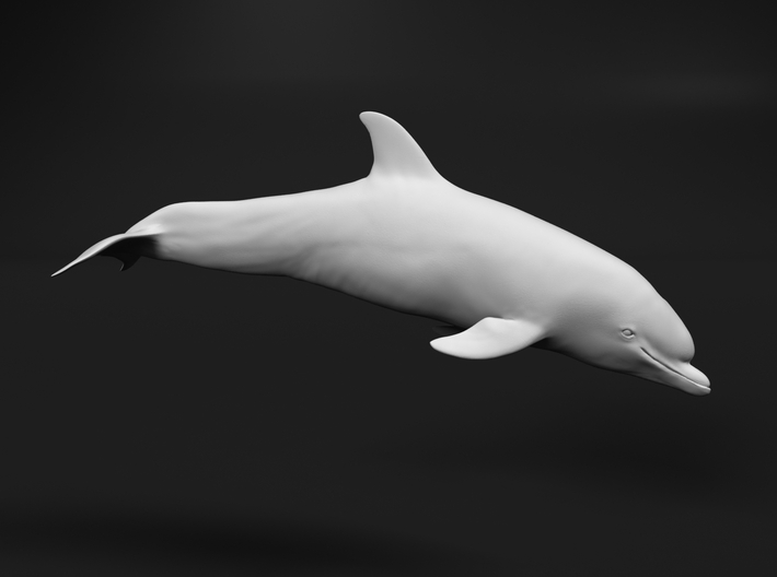 Bottlenose Dolphin 1:48 Calf 1 3d printed