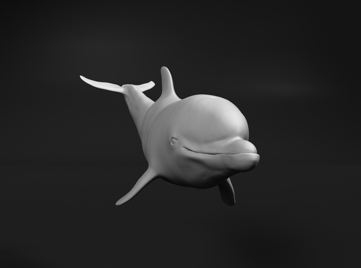 Bottlenose Dolphin 1:20 Calf 2 3d printed