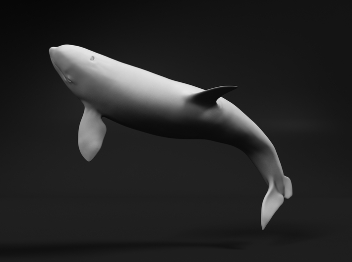 Killer Whale 1:350 Breaching Female 3d printed 