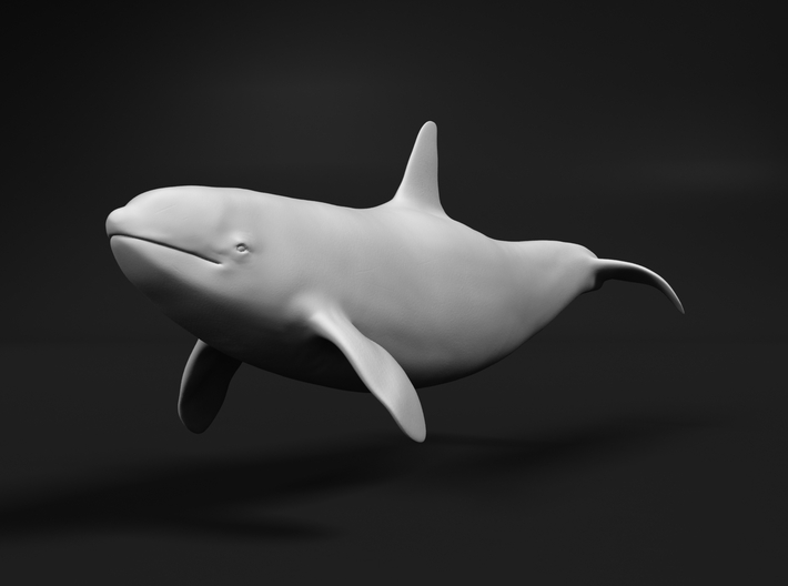 Killer Whale 1:120 Swimming Female 2 3d printed 
