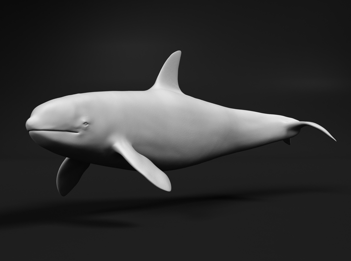Killer Whale 1:45 Swimming Female 3 3d printed 