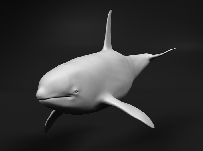 Killer Whale 1:12 Swimming Male 3d printed 