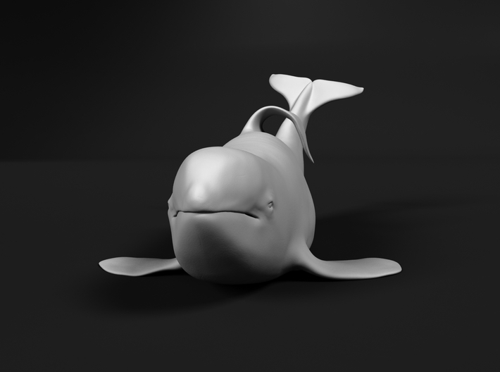 Killer Whale 1:72 Captive male out of the water 3d printed