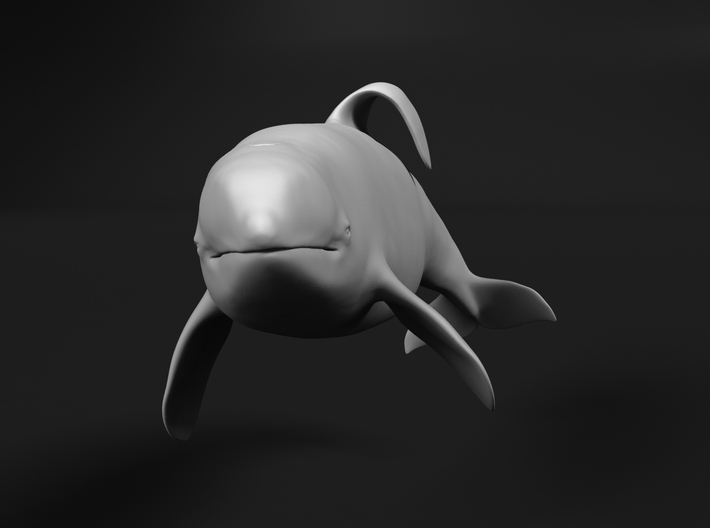 Killer Whale 1:35 Captive male swimming 3d printed 