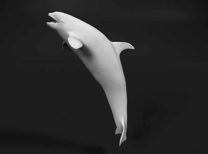 Killer Whale 1:220 Female with mouth open 1 3d printed 
