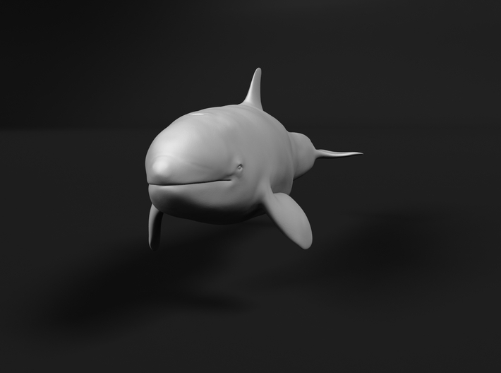 Killer Whale 1:160 Calf 1 3d printed