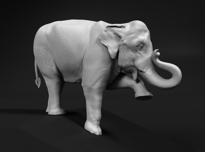 Indian Elephant 1:6 Female on top of slope 3d printed