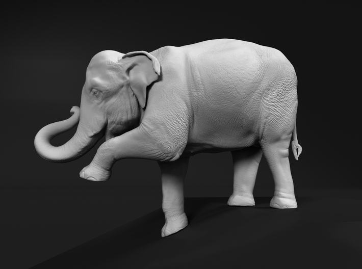 Indian Elephant 1:9 Female on top of slope 3d printed 