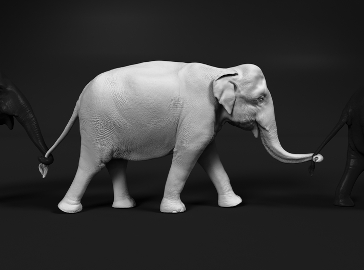 Indian Elephant 1:20 Female walking in a line 3 3d printed
