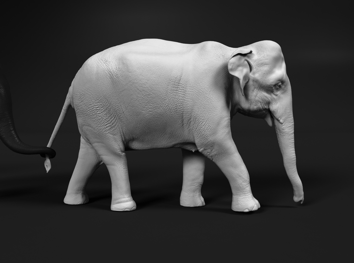 Indian Elephant 1:87 Female walking in a line 1 3d printed 