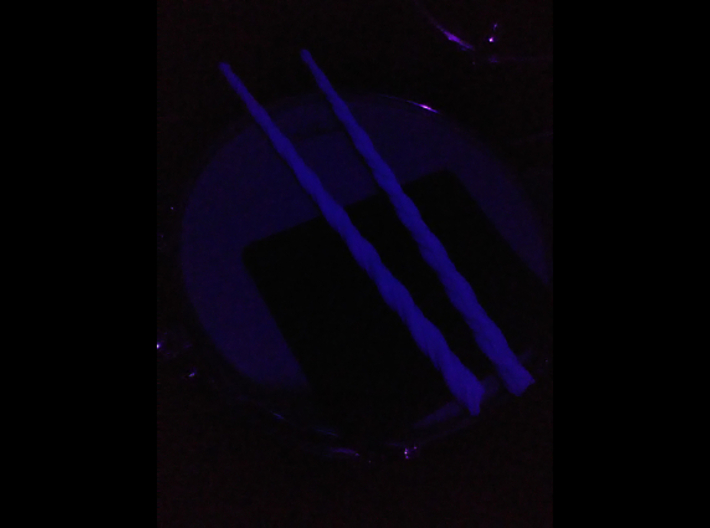 16in. Unicorn Drumsticks (roughly 2B) 3d printed Blue fluorescence under blacklight.