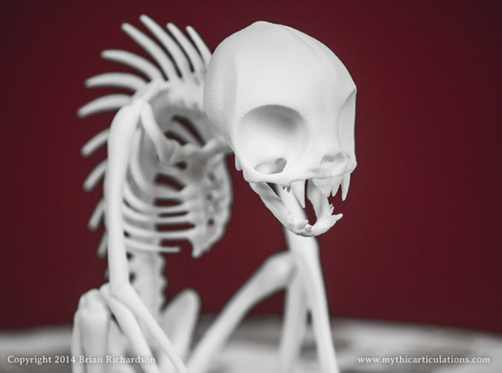 Chupacabra Skeleton  3d printed 