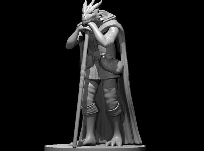 Dragonborn Druid Leaning on Staff 3d printed