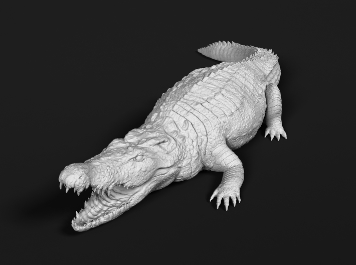 Nile Crocodile 1:22 Mouth Open 3d printed