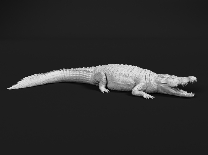 Nile Crocodile 1:24 Mouth Open 3d printed