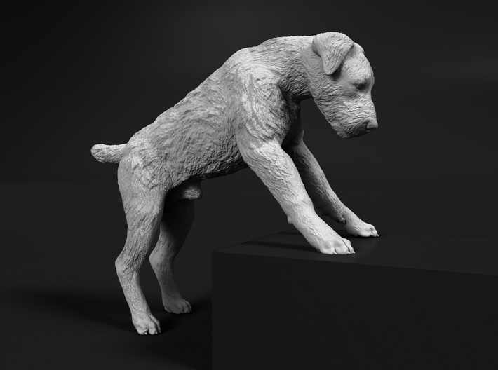 Wire Fox Terrier 1:45 Male with paws on elevation 3d printed
